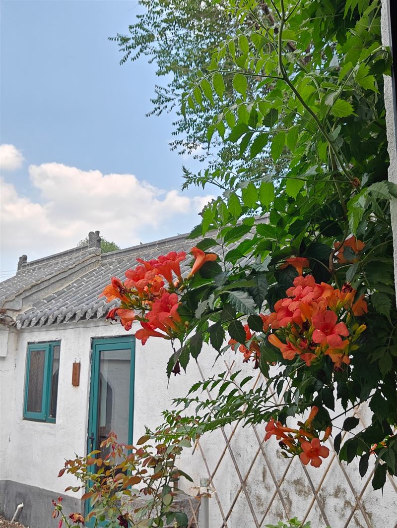 农村自建房(民宿)